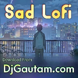 Hai Dil Ye Mera Mujhe Har Dam Ye Puchhta Lofi Song Download